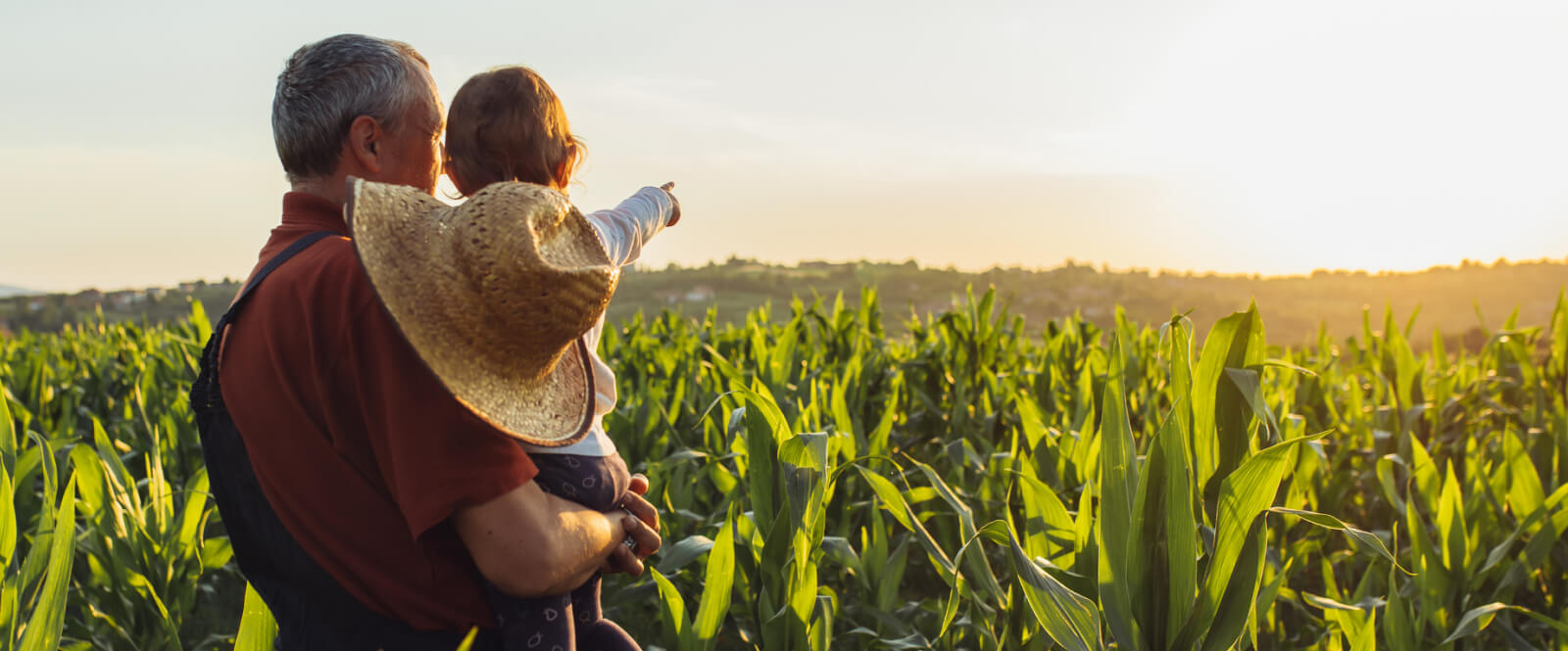 A farmer holding a toddler in a field of crops